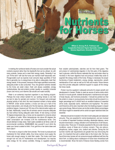 Nutrients for Horses