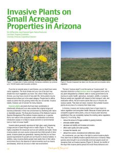 Invasive Plants on Small Acreage Properties in Arizona