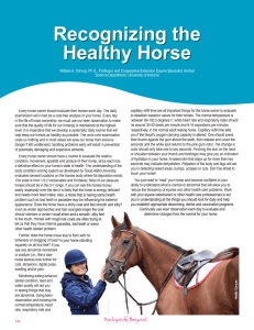 Recognizing the Healthy Horse