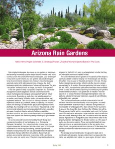 Arizona Rain Gardens