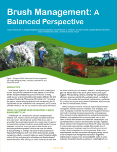 Brush Management: A Balanced Perspective