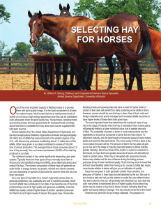 SELECTING HAY FOR HORSES
