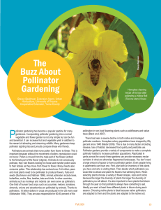 The Buzz About Pollinator Gardening