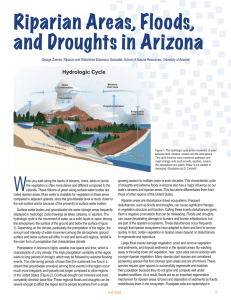 Riparian Areas, Floods, and Droughts in Arizona