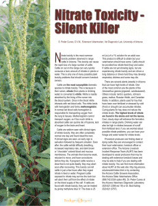 N Nitrate Toxicity - Silent Killer