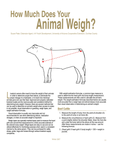 Animal Weigh?  How Much Does Your