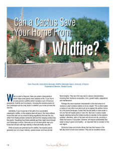 Wildfire? Can a Cactus Save Your Home From