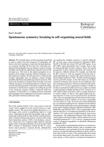 Spontaneous symmetry breaking in self–organizing neural fields Paul C. Bressloff