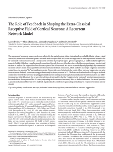 The Role of Feedback in Shaping the Extra-Classical Network Model