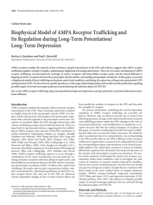 Biophysical Model of AMPA Receptor Trafficking and Long-Term Depression