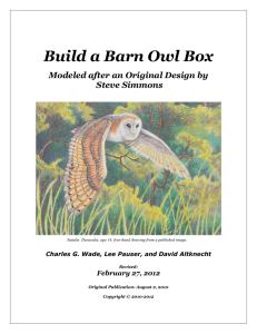 Build a Barn Owl Box Modeled after an Original Design by