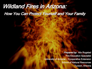Wildland Fires in Arizona: Prepared by:
