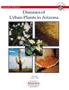 Diseases of Urban Plants in Arizona R Cooperative Extension