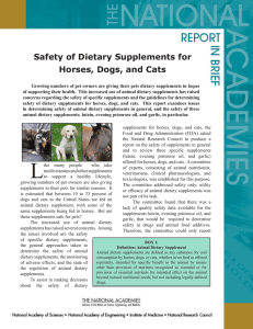Safety of Dietary Supplements for Horses, Dogs, and Cats
