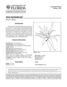Aloe barbadensis Introduction October, 1999 Fact Sheet FPS-34