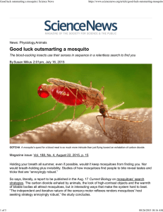Good luck outsmarting a mosquito | Science News