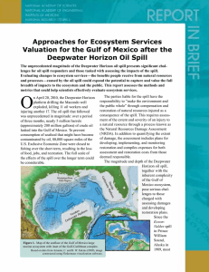 Approaches for Ecosystem Services Deepwater Horizon Oil Spill