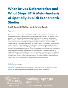 What Drives Deforestation and What Stops It? A Meta-Analysis Studies