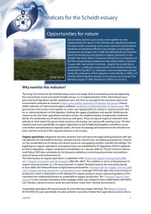 Indicats for the Scheldt estuary Opportunities for nature