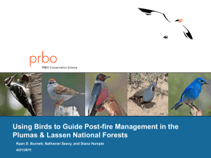 Using Birds to Guide Post-fire Management in the 4/21/2011