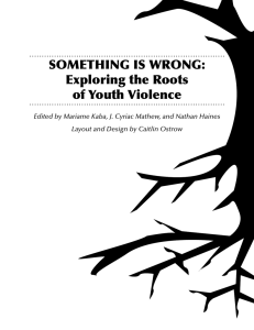 Something iS Wrong: exploring the roots of Youth Violence