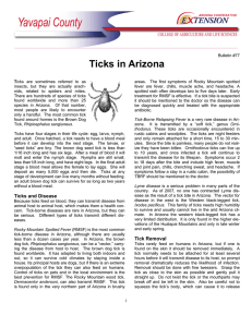 Ticks in Arizona