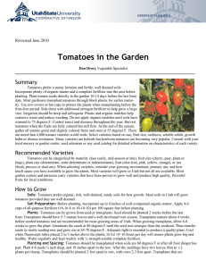 Tomatoes in the Garden Summary extension.usu.edu Reviewed June 2010