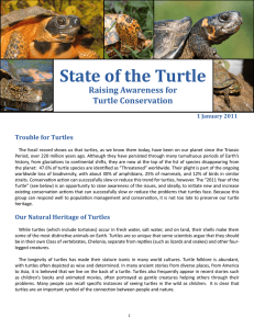 State of the Turtle Raising Awareness for Turtle Conservation Trouble for Turtles