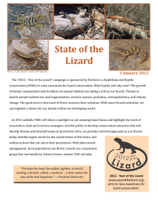 State of the Lizard 1 January 2012