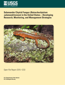 Batrachochytrium Research, Monitoring, and Management Strategies salamandrivorans Open-File Report 2015–1233