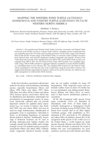 MAPPING THE WESTERN POND TURTLE (ACTINEMYS WESTERN NORTH AMERICA