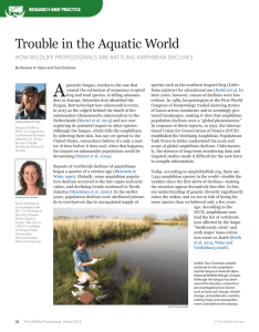 A Trouble in the Aquatic World
