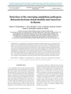 Detection of the emerging amphibian pathogens in Russia Batrachochytrium dendrobatidis