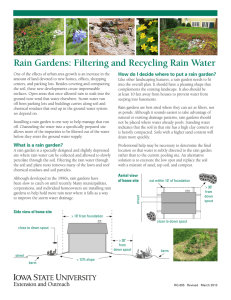Rain Gardens: Filtering and Recycling Rain Water