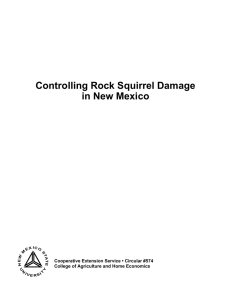 Controlling Rock Squirrel Damage in New Mexico