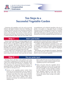 Ten Steps to a Successful Vegetable Garden