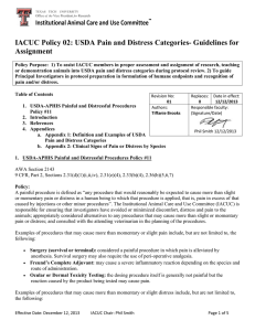 IACUC Policy 02: USDA Pain and Distress Categories- Guidelines for Assignment