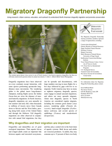 Migratory Dragonfly Partnership