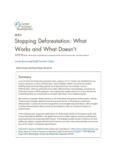 Stopping Deforestation: What Works and What Doesn't Summary BRIEFS