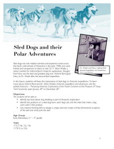 Sled Dogs and their Polar Adventures