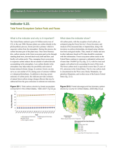 Indicator 5.22. Criterion 5. Maintenance of Forest Contribution to Global Carbon Cycles