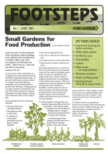 Small  Gardens for Food  Production HOME IN THIS ISSUE