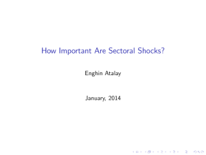 How Important Are Sectoral Shocks? Enghin Atalay January, 2014