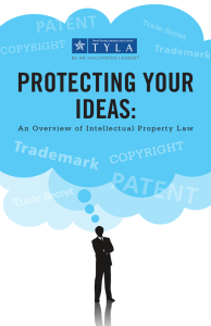 PROTECTING YOUR IDEAS: