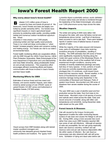 B Iowa’s Forest Health Report 2000