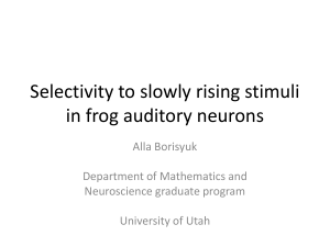 Selectivity to slowly rising stimuli in frog auditory neurons Alla Borisyuk