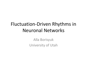 Fluctuation-Driven Rhythms in Neuronal Networks Alla Borisyuk University of Utah
