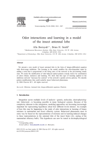 Odor interactions and learning in a model Alla Borisyuk