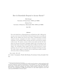 How do Households Respond to Income Shocks?