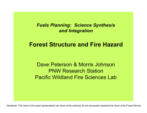 Forest Structure and Fire Hazard Dave Peterson &amp; Morris Johnson